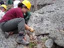 (233) 4/17/2026<BR>Appalachian Trail rehabilitation continues<BR>at Agony Grind